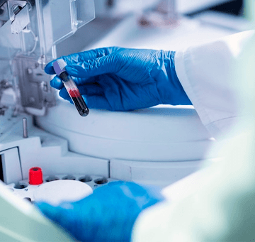 Laboratorio
